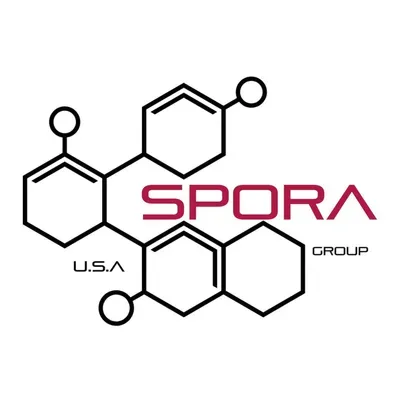 Spora Mold Remediation