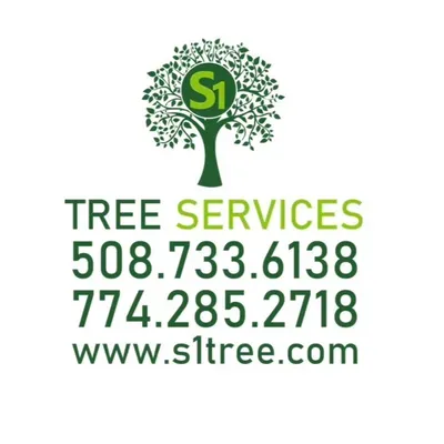 S1 Tree Services