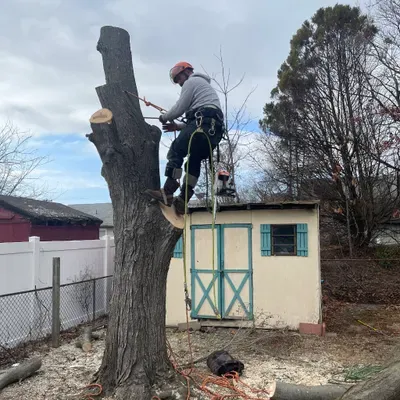 Jay5K Tree service LLC