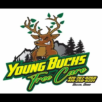 Young Bucks Tree Care LLC