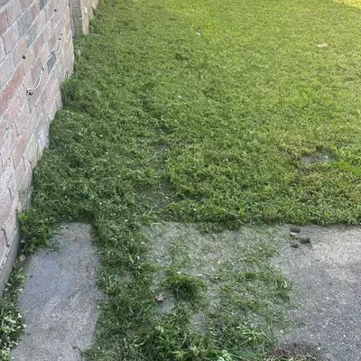 ICPTREESERVICE
