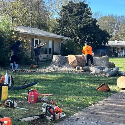 Kuntryboyztreeservice