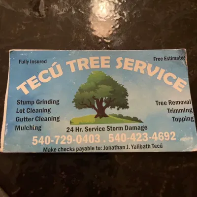Tecu tree service