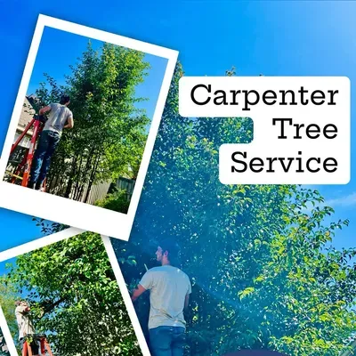 Carpenter Tree Service