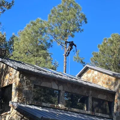 Climb to the Top Tree Service