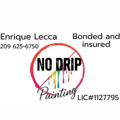 No Drip Painting INC