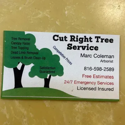 Cut right tree service