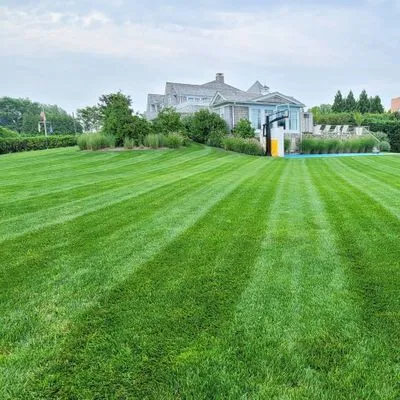 Dh&Y landscaping Services