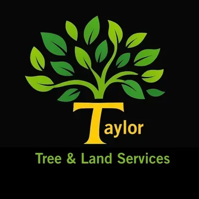 Taylor Tree and Land Services
