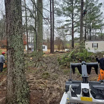 Brother Bear Tree Service And Landscaping