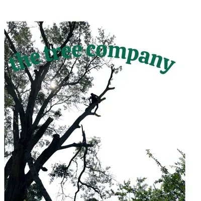 The Tree Company