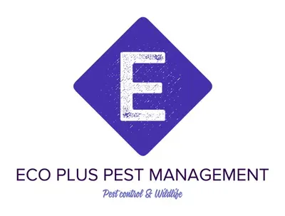 Eco Plus Pest Management & Wildlife N.Y & N.J