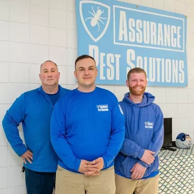 Assurance Pest Solutions