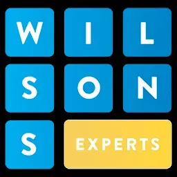 Wilson's Experts Inc