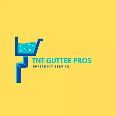 TNT GUTTER PROS LLC