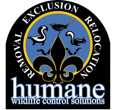 Humane Wildlife Control Solutions