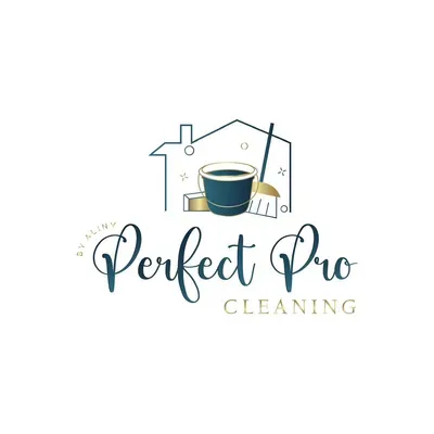 Perfect Pro Cleaning by Aliny