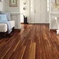 I.A.Q. Astoria Contractors,   Inc.