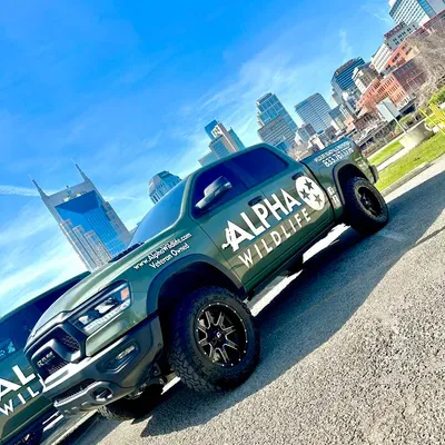 Alpha Wildlife