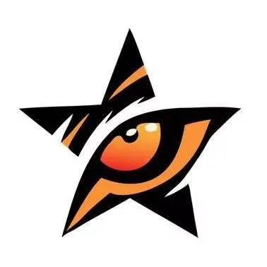 Tiger Eye Pros, LLC Home+Business