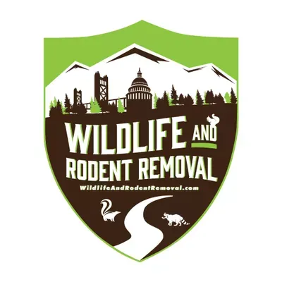Wildlife and Rodent Removal