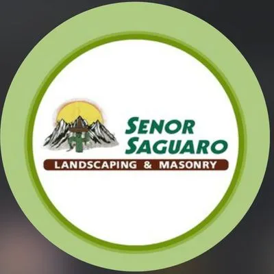 Senor Saguaro Llc