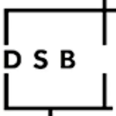 DSB-USA.CORP