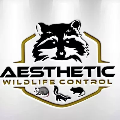AESTHETIC RODENT AND WILDLIFE CONTROL 24/7