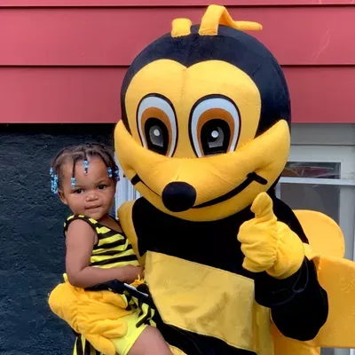 Busy Bees K&N Cleaning Services LLC