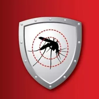 Mosquito Shield of South Tampa