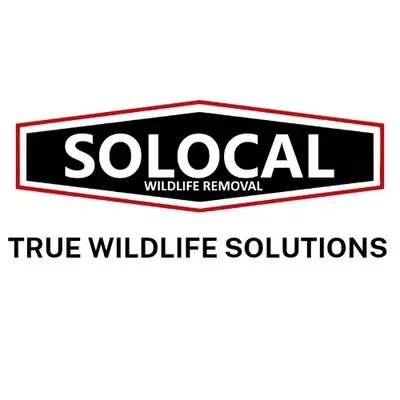 Solocal Wildlife Removal