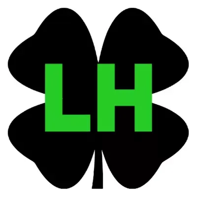 Lucky Home Solutions