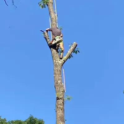ACG Construction & Tree Removal