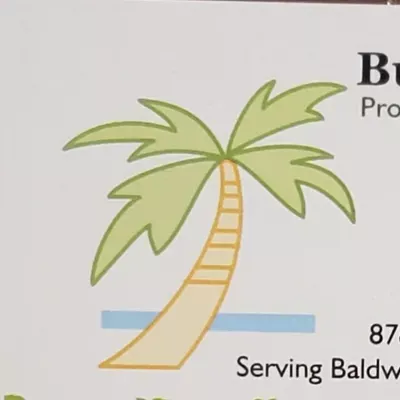 Buena Vista Cleaners