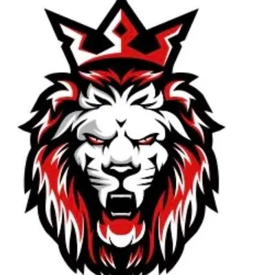King pro construction corp