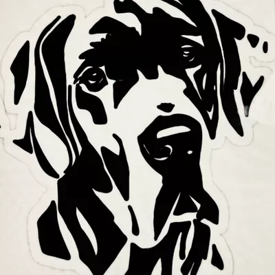 Big Dog Construction LLC