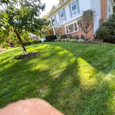SoloGreen