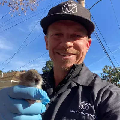 Simply Rodents