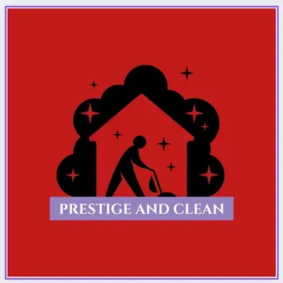 Precise Clean Pro