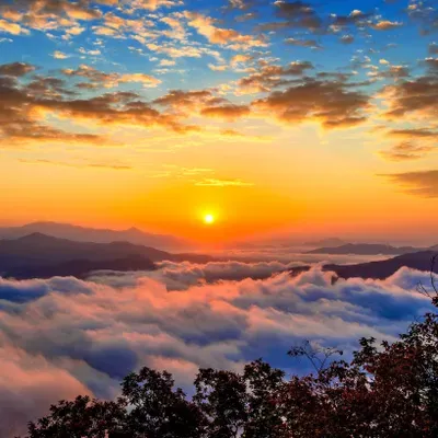 Tom Murry Counseling & Life Coaching Services