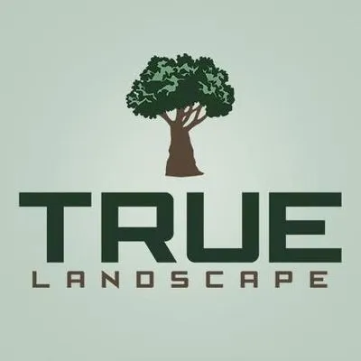 True Landscape