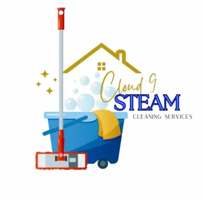 Cloud 9 Steam Clean