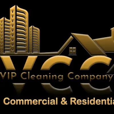 Vip cleaning company