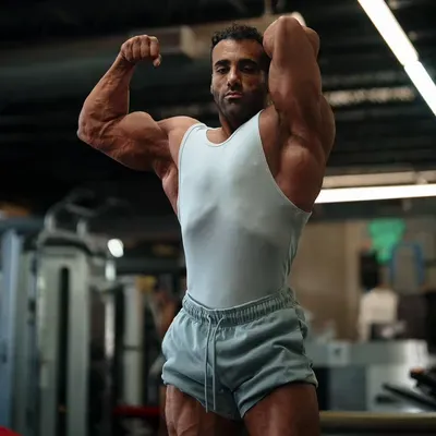 Team Hercules