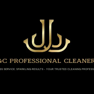 Professional Cleaners