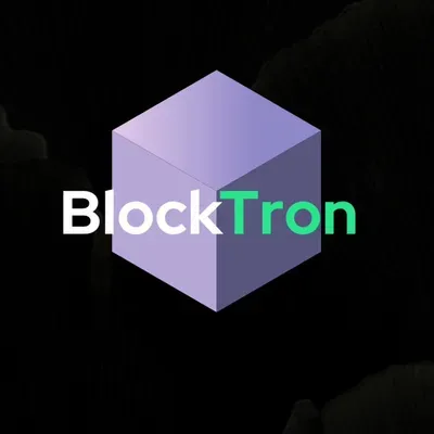 BTRON LLC