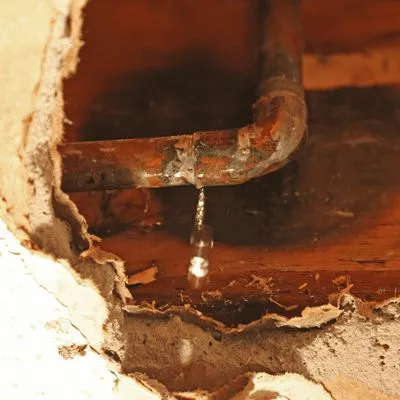 Priority Plumbing and Restoration