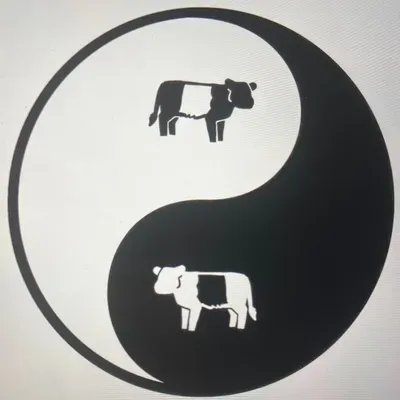 Belted Galloway Builders