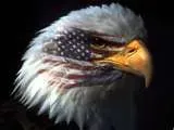 Eagle Improvements