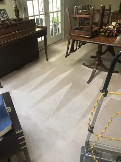 Happy Days Carpet Cleaning